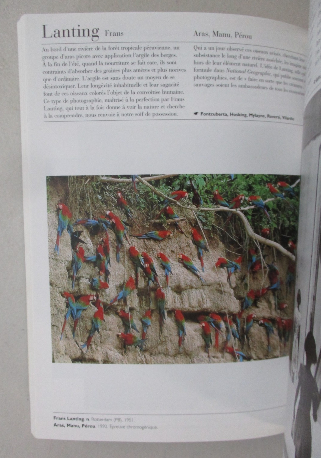 LE MUSEE DE LA PHOTO 2002 PHAIDON TRADE PAPERBACK FRENCH PHOTOGRAPHY ART BOOK