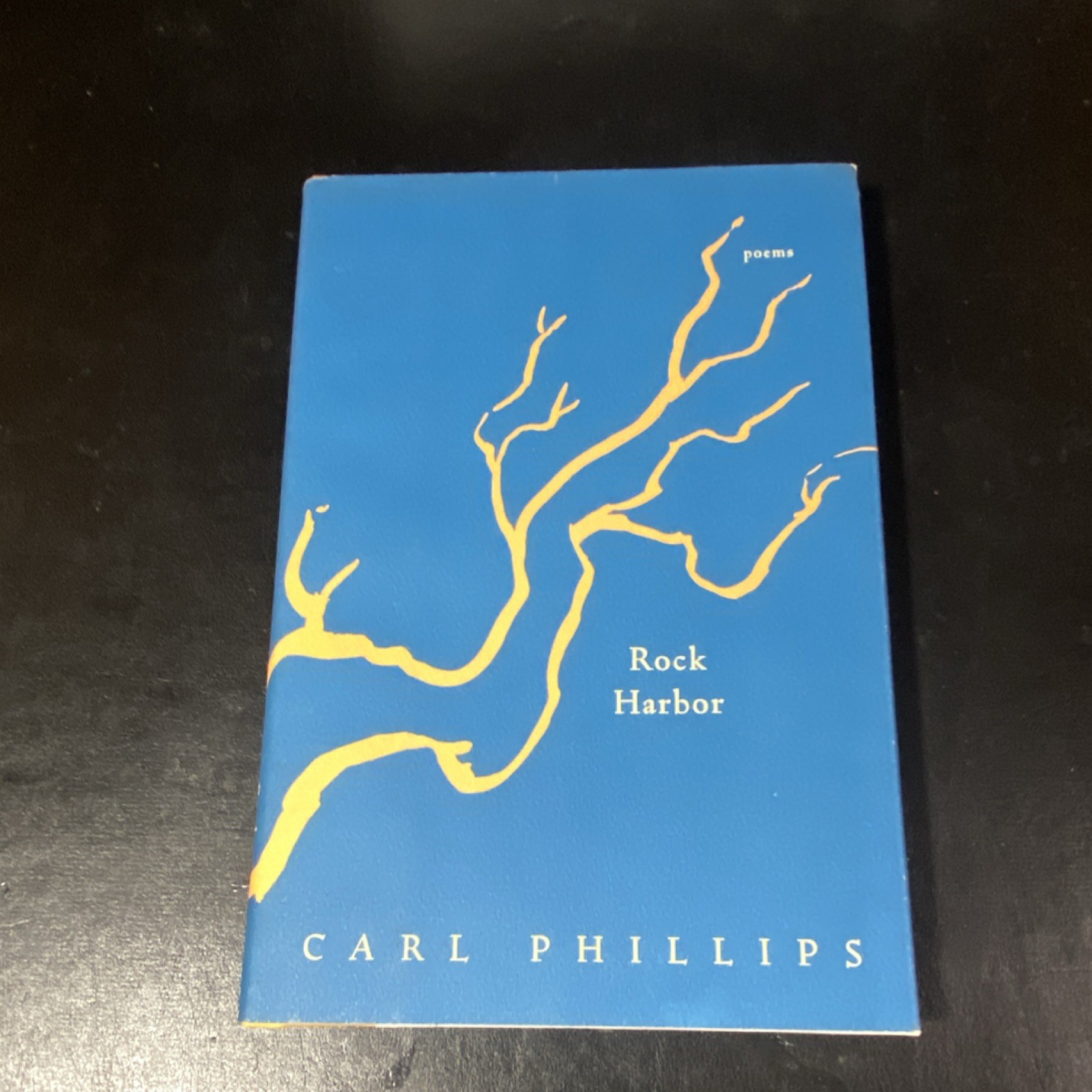 Rock Harbor: Poems by Carl Phillips Hardcover 2002 Farrar Straus & Giroux