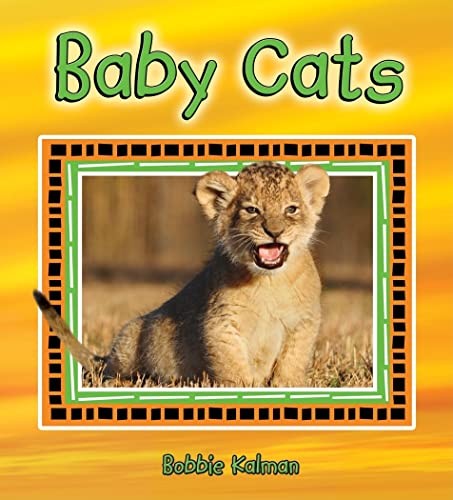 Baby Cats (It’s Fun to Learn About Baby Animals, 4)