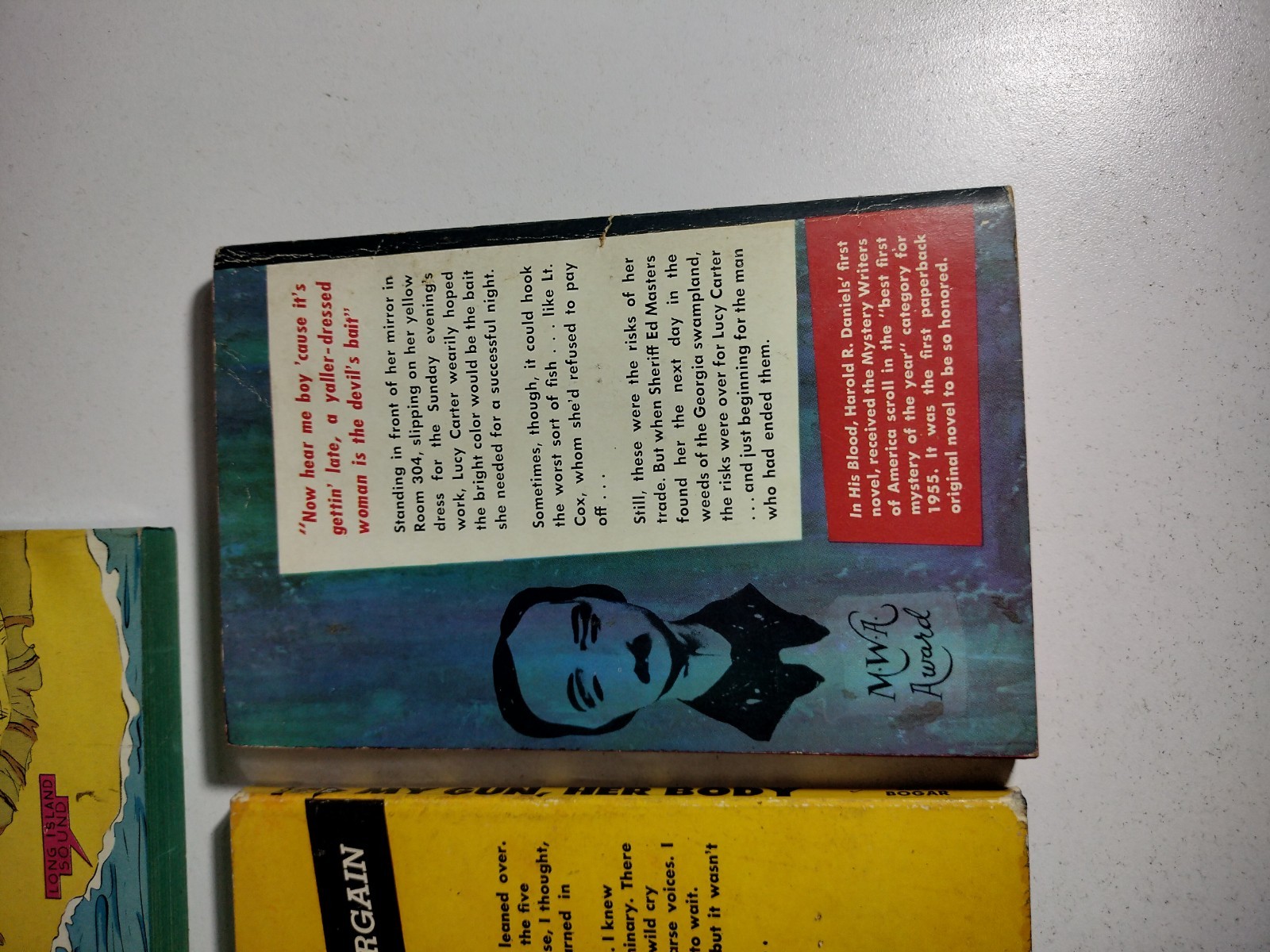 Vintage 1950s Mystery Paperback Lot Dell Lion Pocket Crime Noir 5 Books Pulp