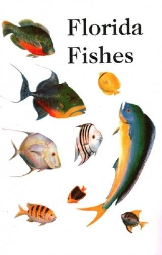 Saltwater Florida Fishes – Paperback By Rube Allyn – VERY GOOD