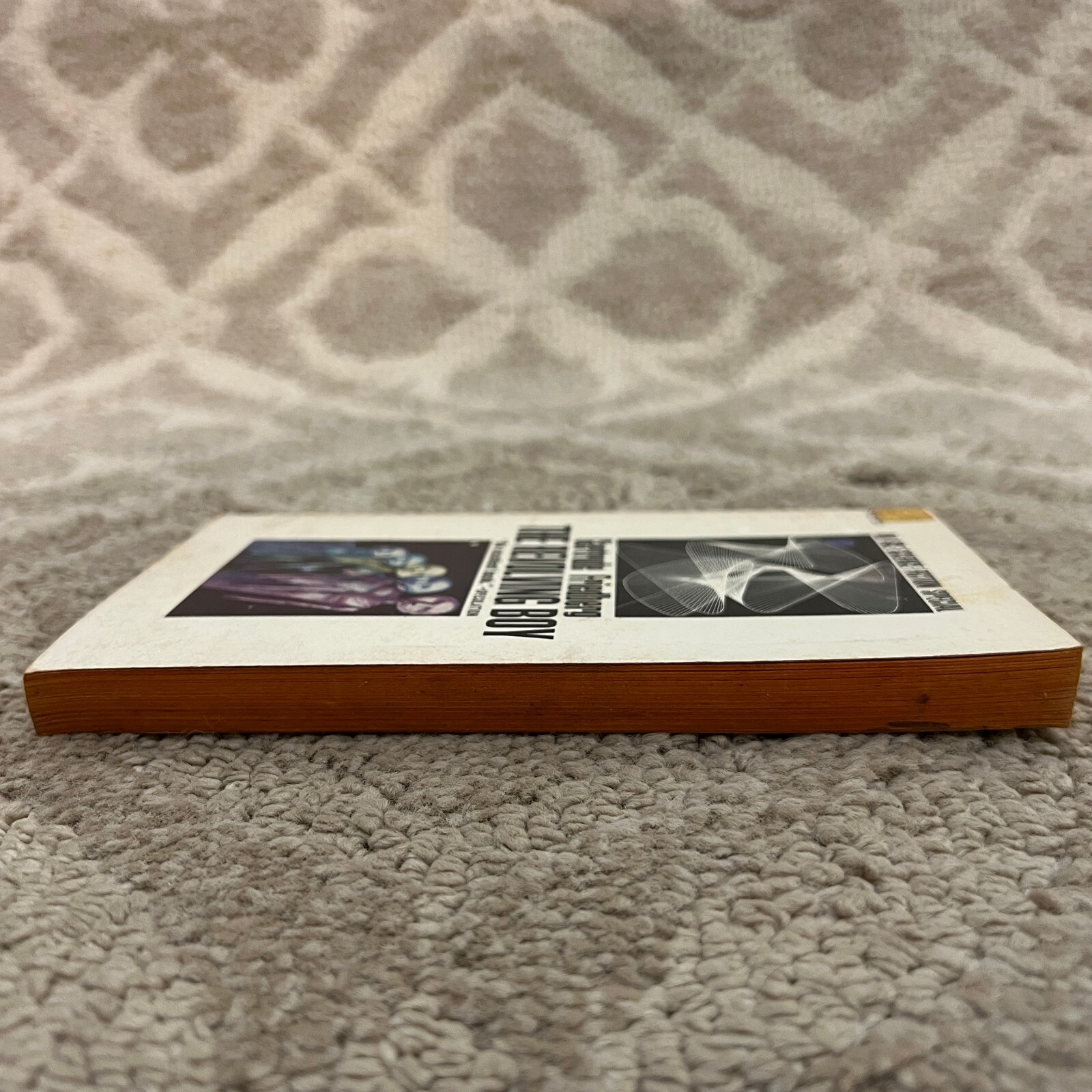 The Revolving Boy Science Fiction Paperback Book by Gertrude Friedberg 1966