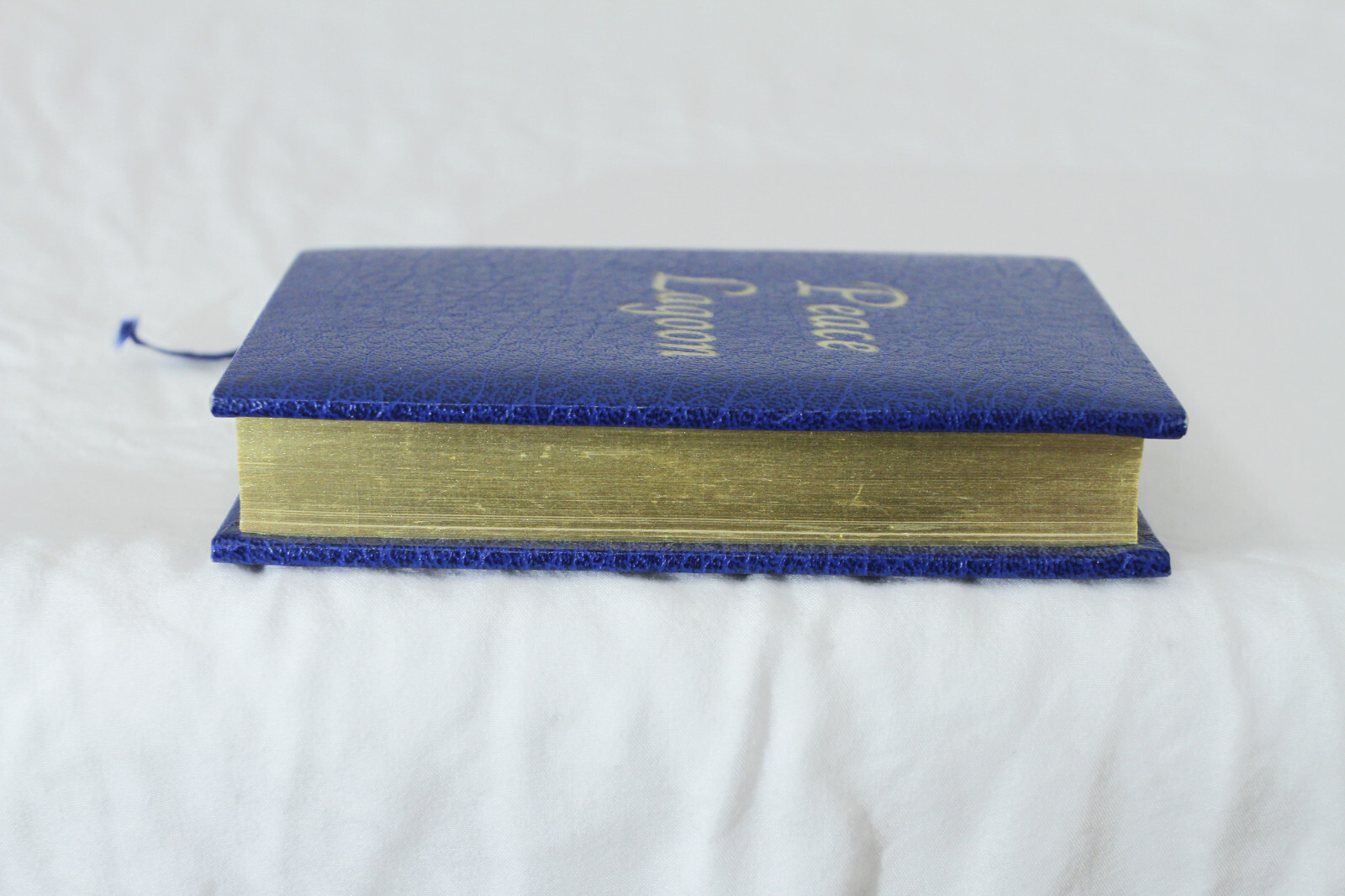 Peace Lagoon: Sacred Songs of the Sikhs (1989, Pocket Size)