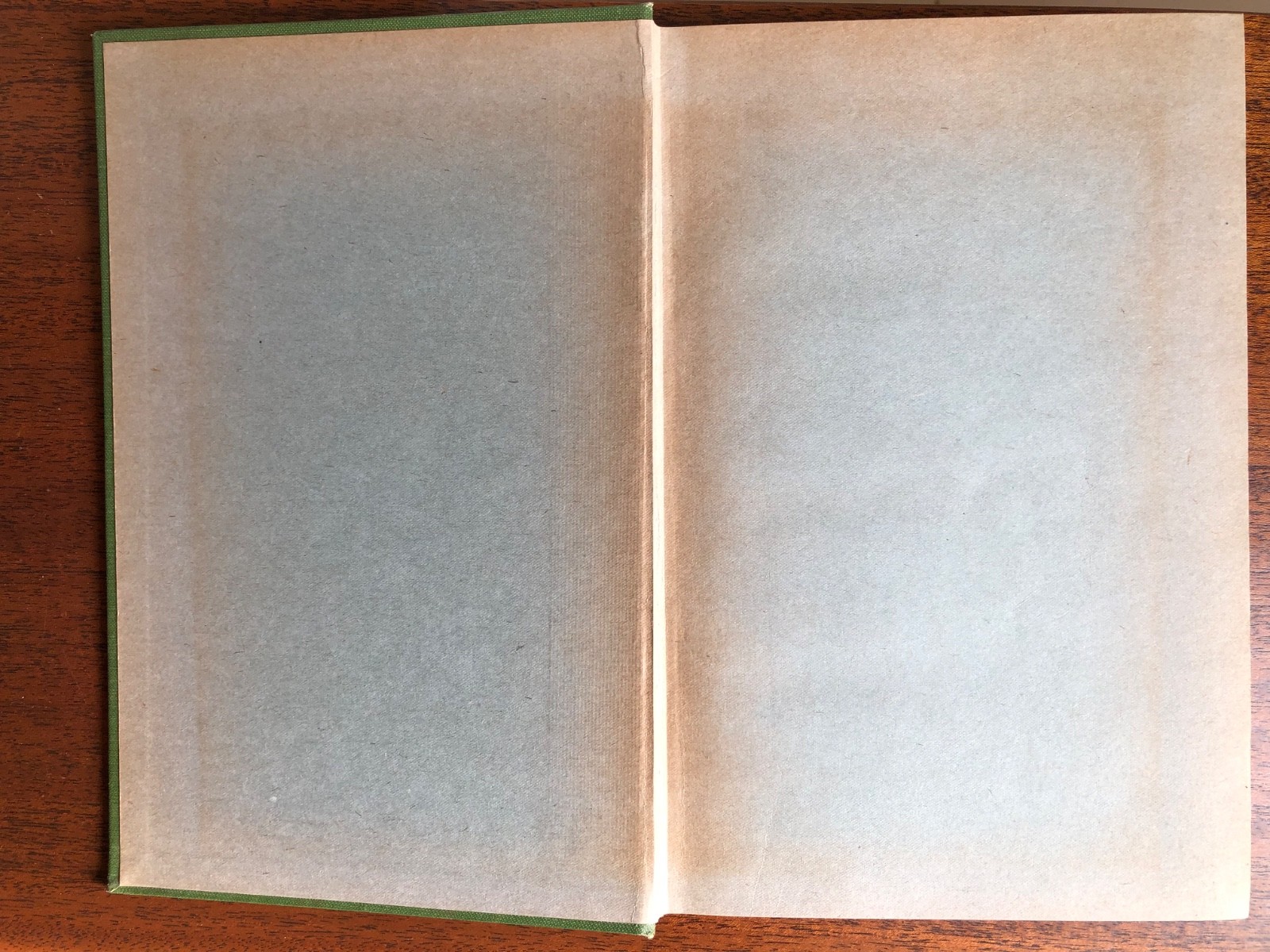 Official History Eighty-Sixth Division – 86th – WW1 – 1921 Hardcover