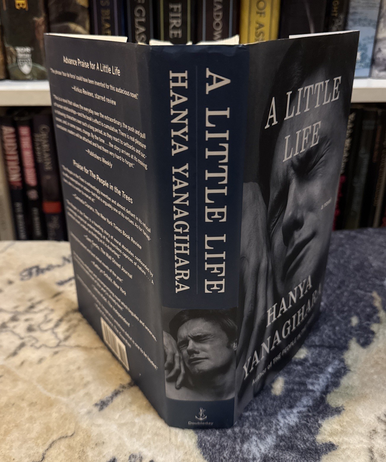 A Little Life by Hanya Yanagihara (Hardcover) First Edition/Print, 1st/1st, VG+