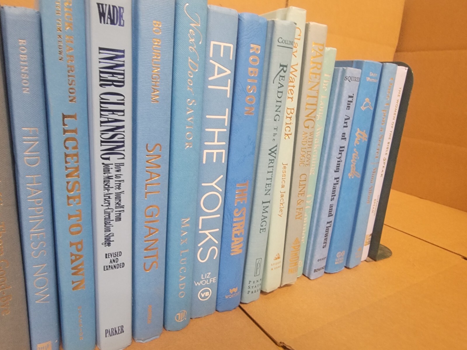 Lot of 10 Hardcover BLUE NAVY AQUA TEAL Shades Books for Staging Prop Decor