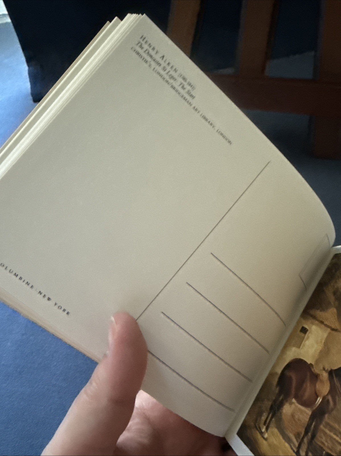 HORSE PAINTINGS: A Book of 30 Postcards By Pavilion Books, Famous Artists Prints