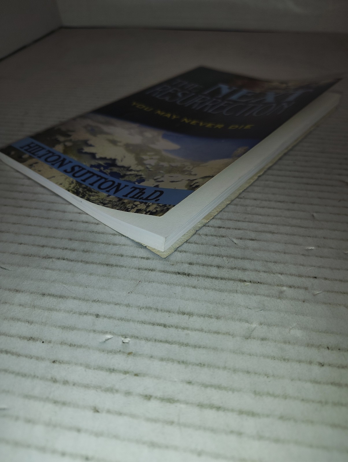 The Next Resurrection: You May Never Die – Paperback By Hilton Sutton – GOOD