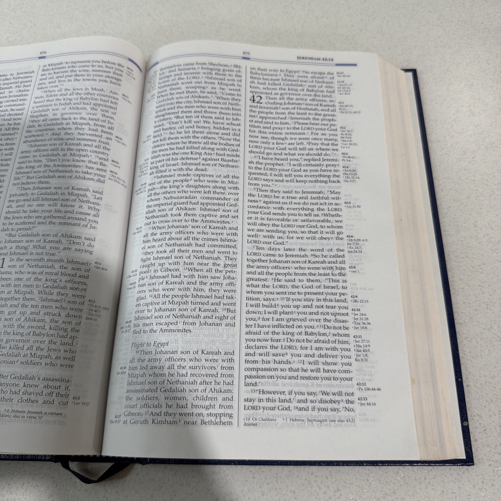 Freedom in Christ Bible by Zondervan Staff Blue 2001 Paint Splatter On Book