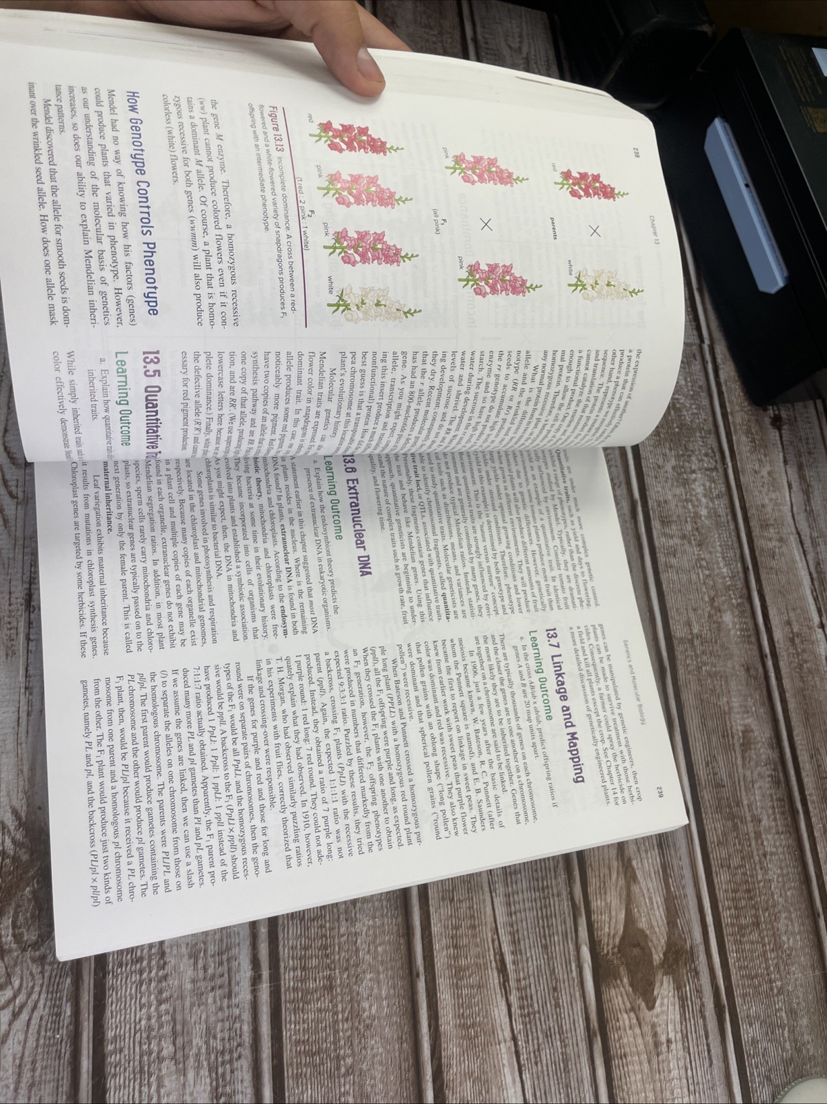 ISE Stern’s Introductory Plant Biology ISE HED BOTANY, ZOOLOGY, ECOLOGY 15e