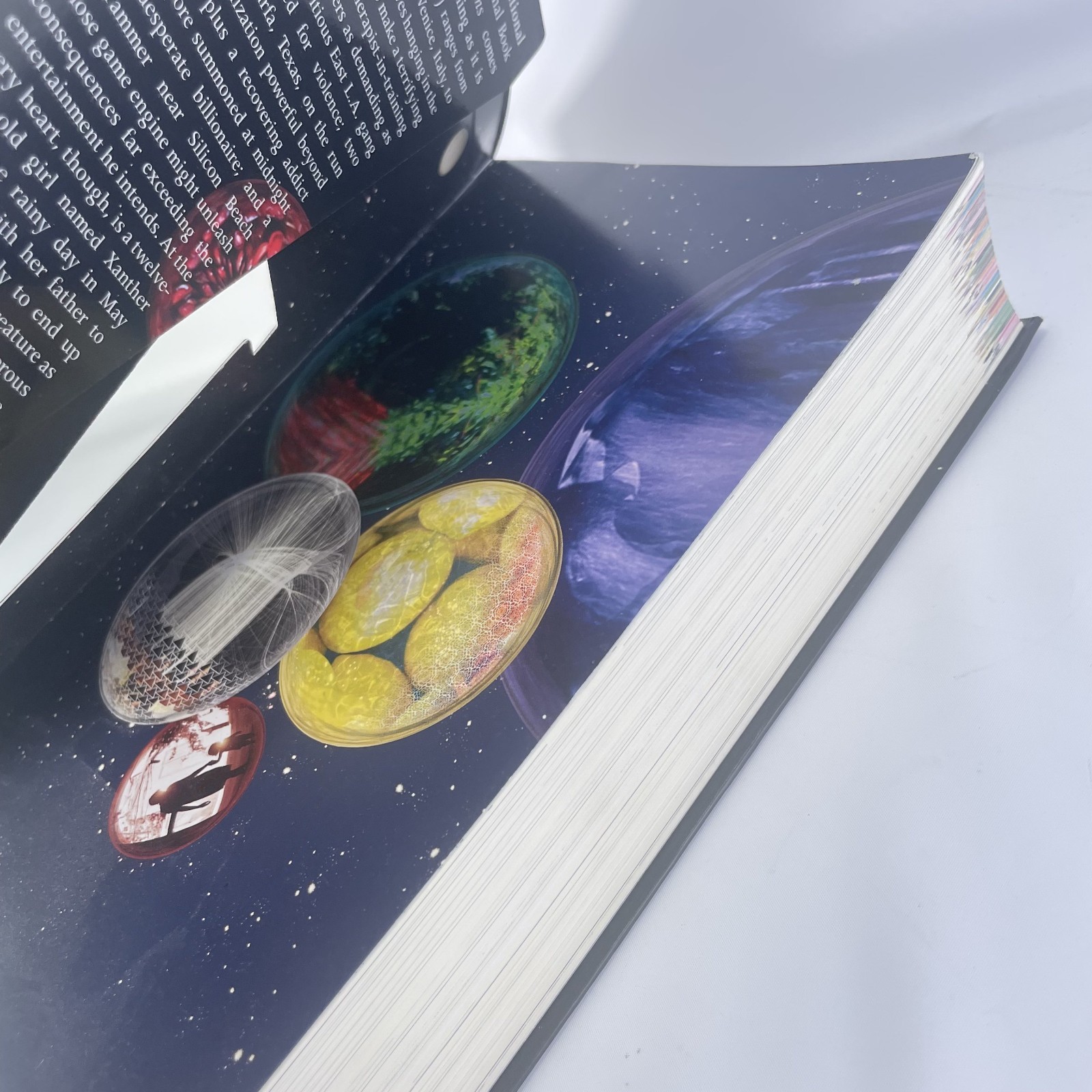 The Familiar Volume 1 One Rainy Day in May Mark Z. Danielewski Thriller Suspense