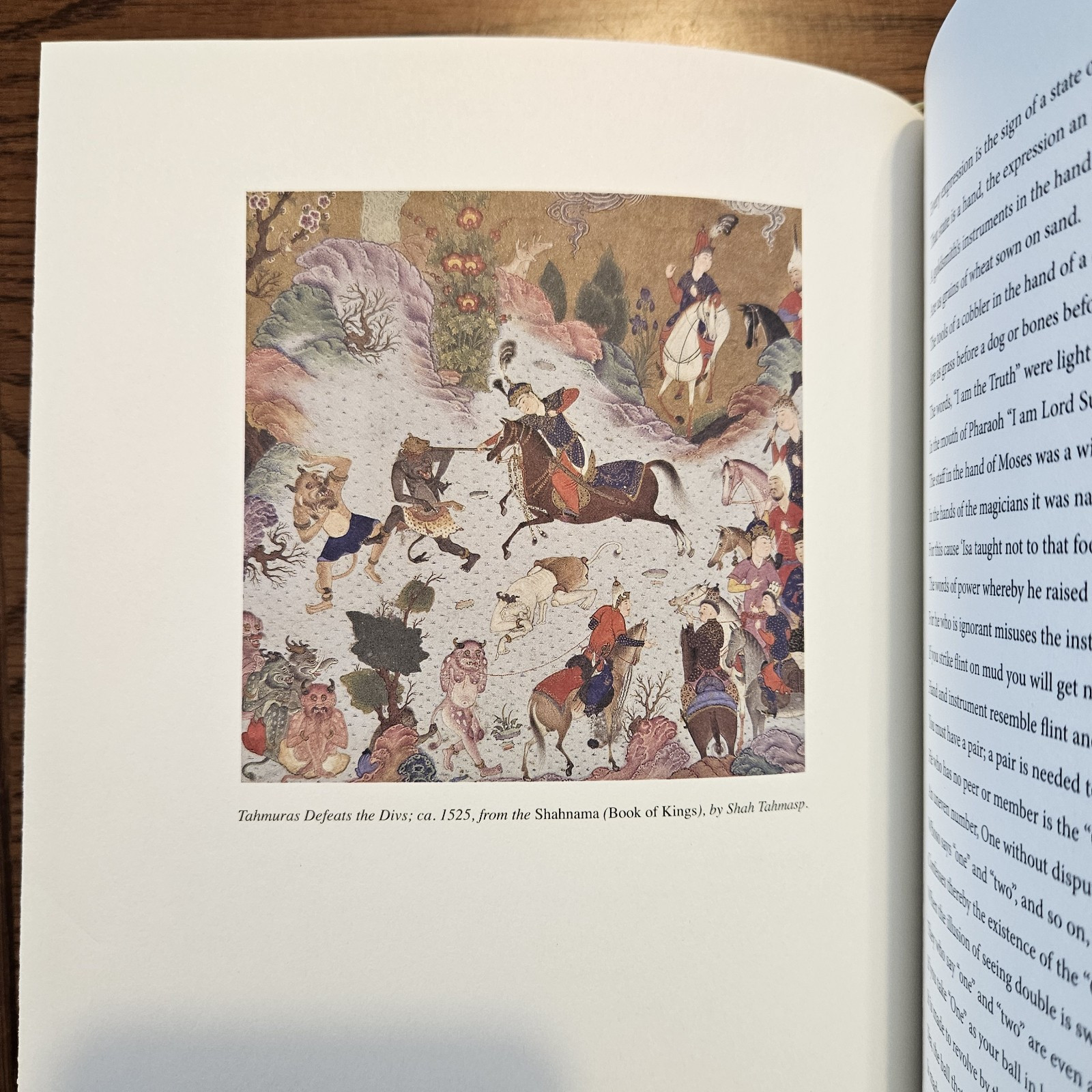 RUMI ILLUSTRATED by Jalal Al-Din Rumi (Chinese Bound Hardcover) *Brand New*