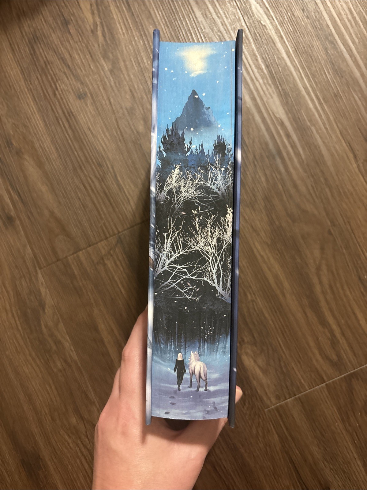 Dire Bound By Sable Sorensen – Signed Fairyloot Edition