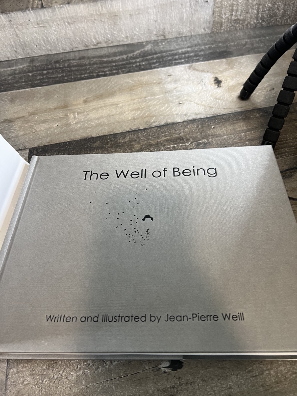 The Well Of Being A Children’s Book for Adults By Jean-Pierre Weill Watercolor