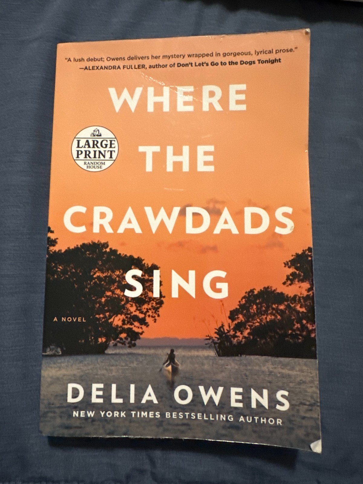 Where the Crawdads Sing – Paperback By Owens, Delia
