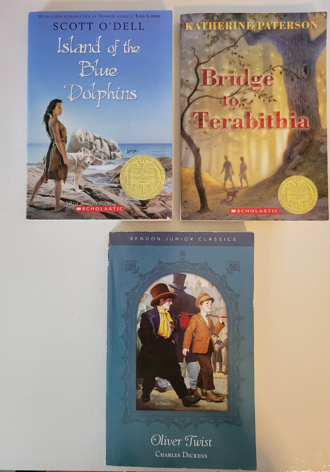 Lot Of 3 Childrens Middle Grade Chapter Books Island Of The Blue Dolphins