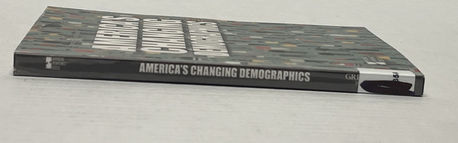America’s Changing Demographics (Opposing Viewpoints)