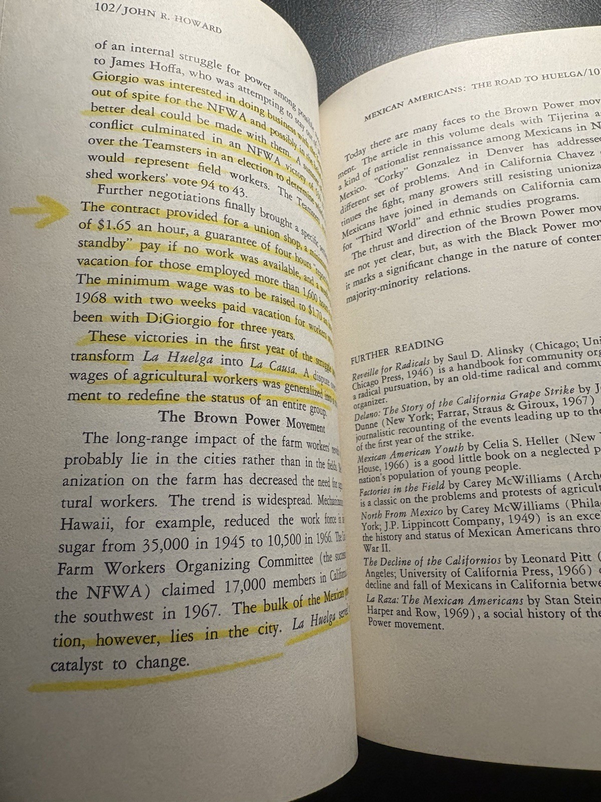 Awakening Minorities 1970 PB Chicano Native Puerto Rican