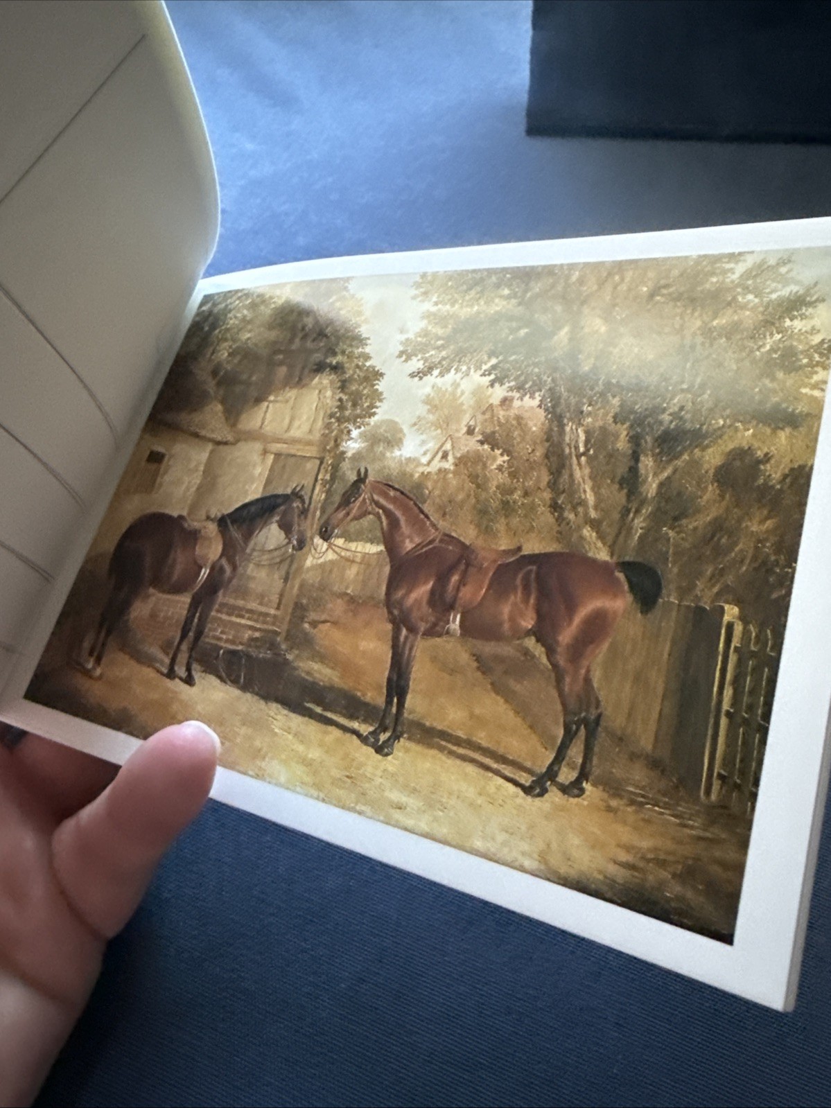 HORSE PAINTINGS: A Book of 30 Postcards By Pavilion Books, Famous Artists Prints