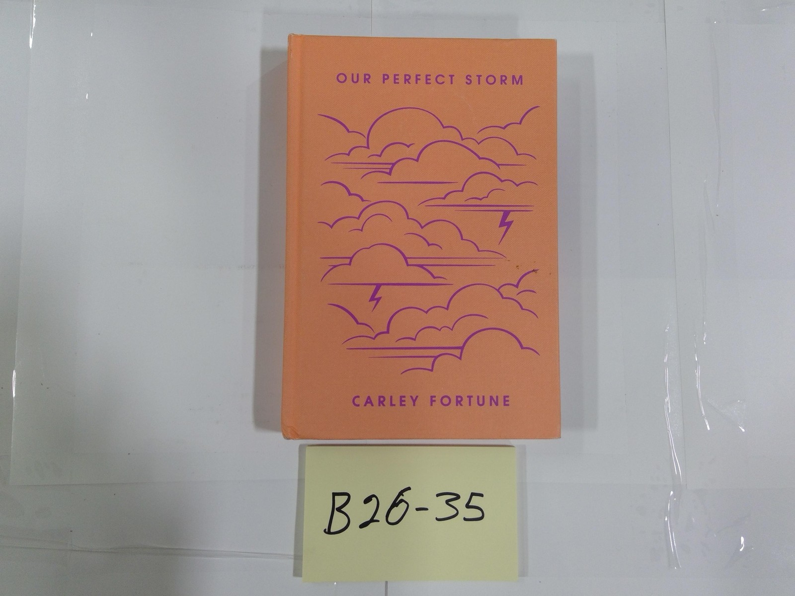 Our Perfect Storm Carley Fortune Adult Romance Fiction Hardcover Orange