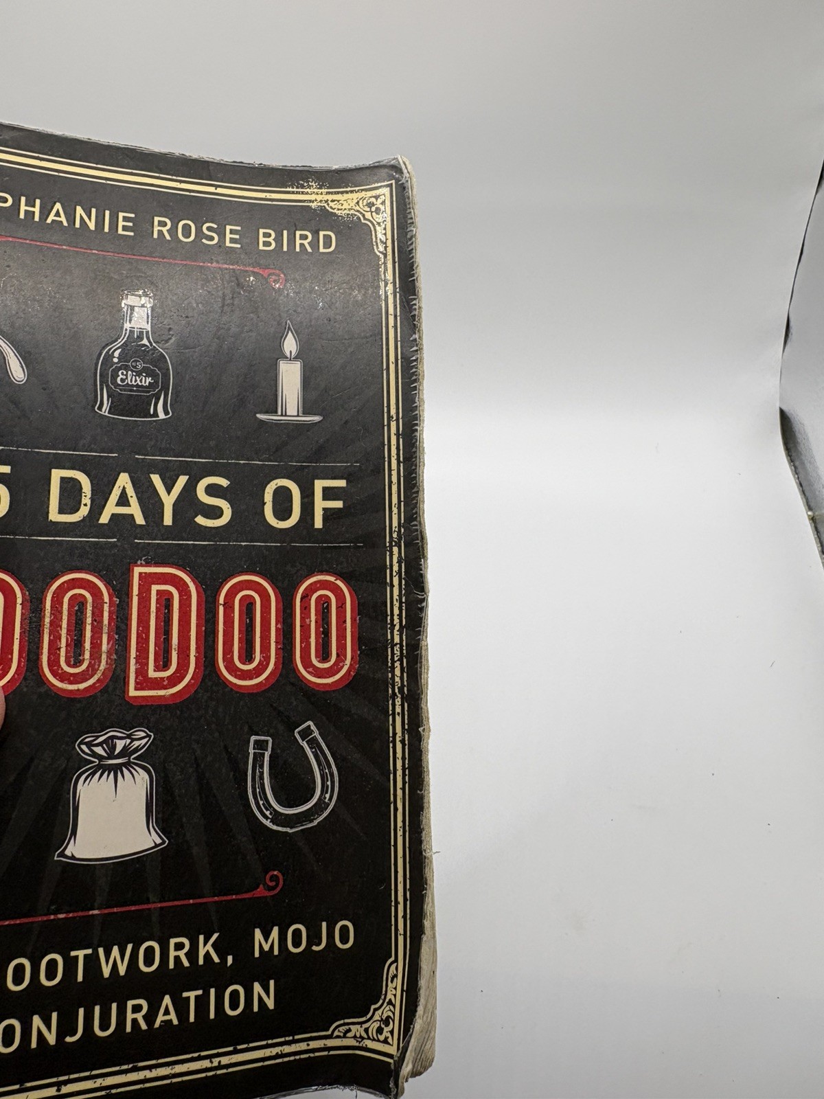 365 Days of Hoodoo:Daily Rootwork, Mojo & Conjuration, Bird, Stephanie Rose used