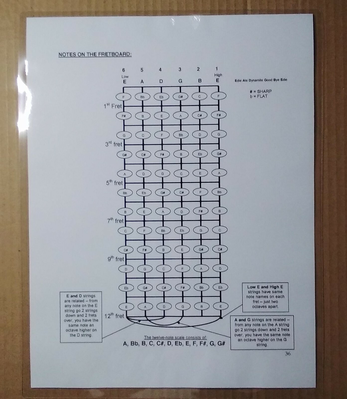 Notes on the Guitar Fretboard Chart ~ Laminated  ~ FREE Shipping