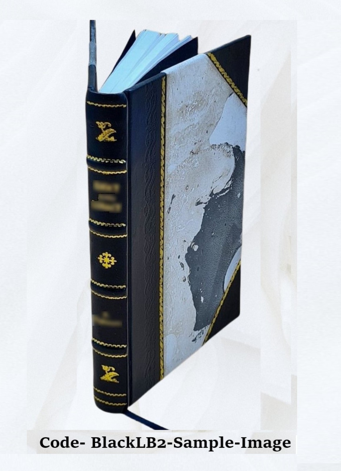 Geometrical Drawing. With Notes And Examples .. Volume Pt1 1900 [Leather Bound]