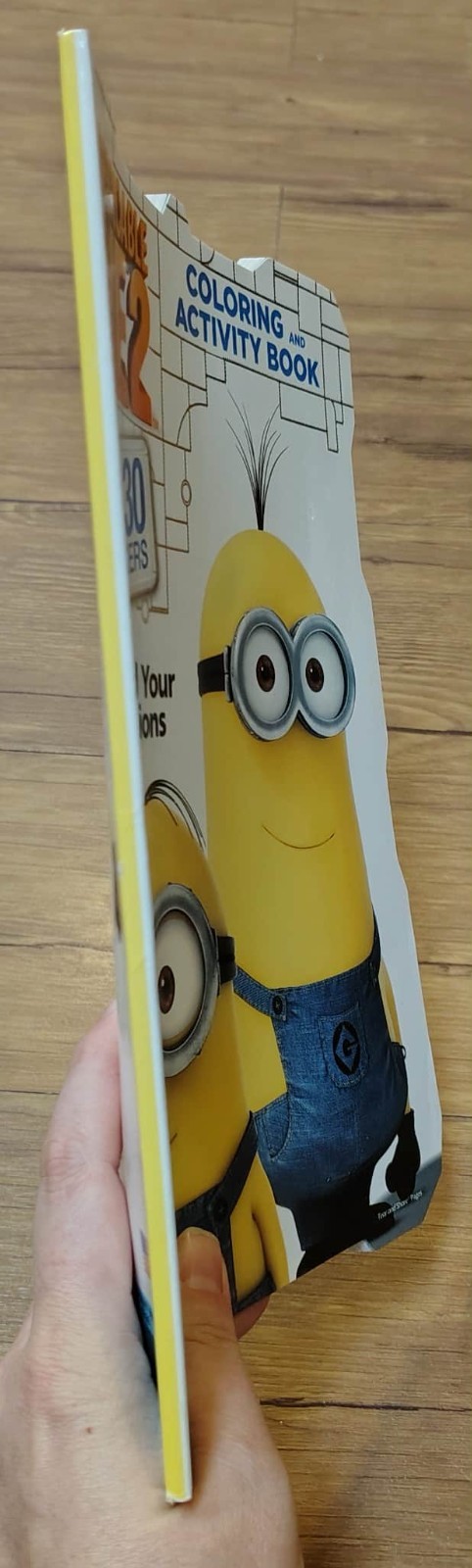 Despicable Me 2 Coloring & Activity Book 64 pages with 30 stickers – 2014