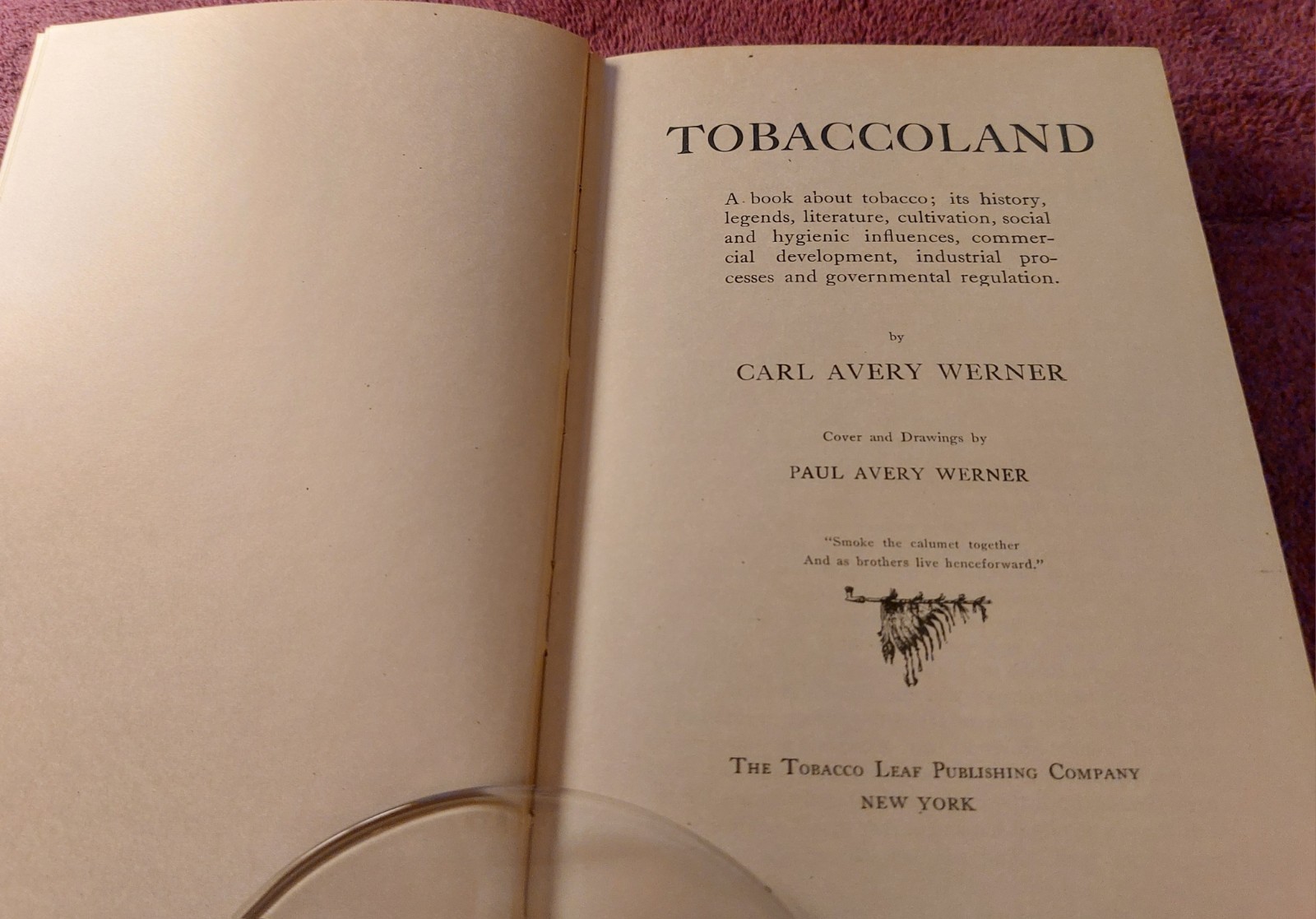 Tobaccoland by Carl Avery Werner