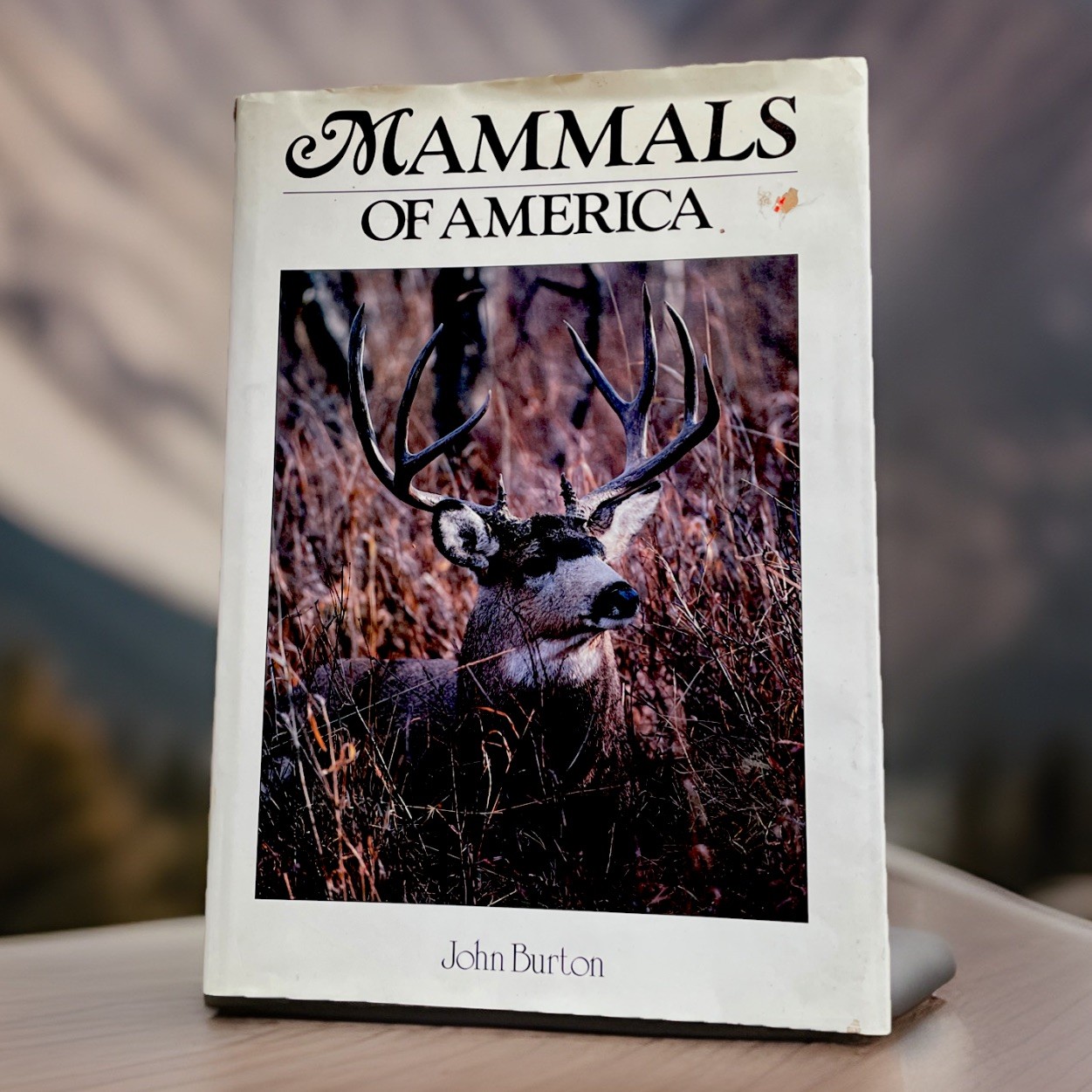 Mammals Of America John Burton HC 1989 Large Coffee Table DJ