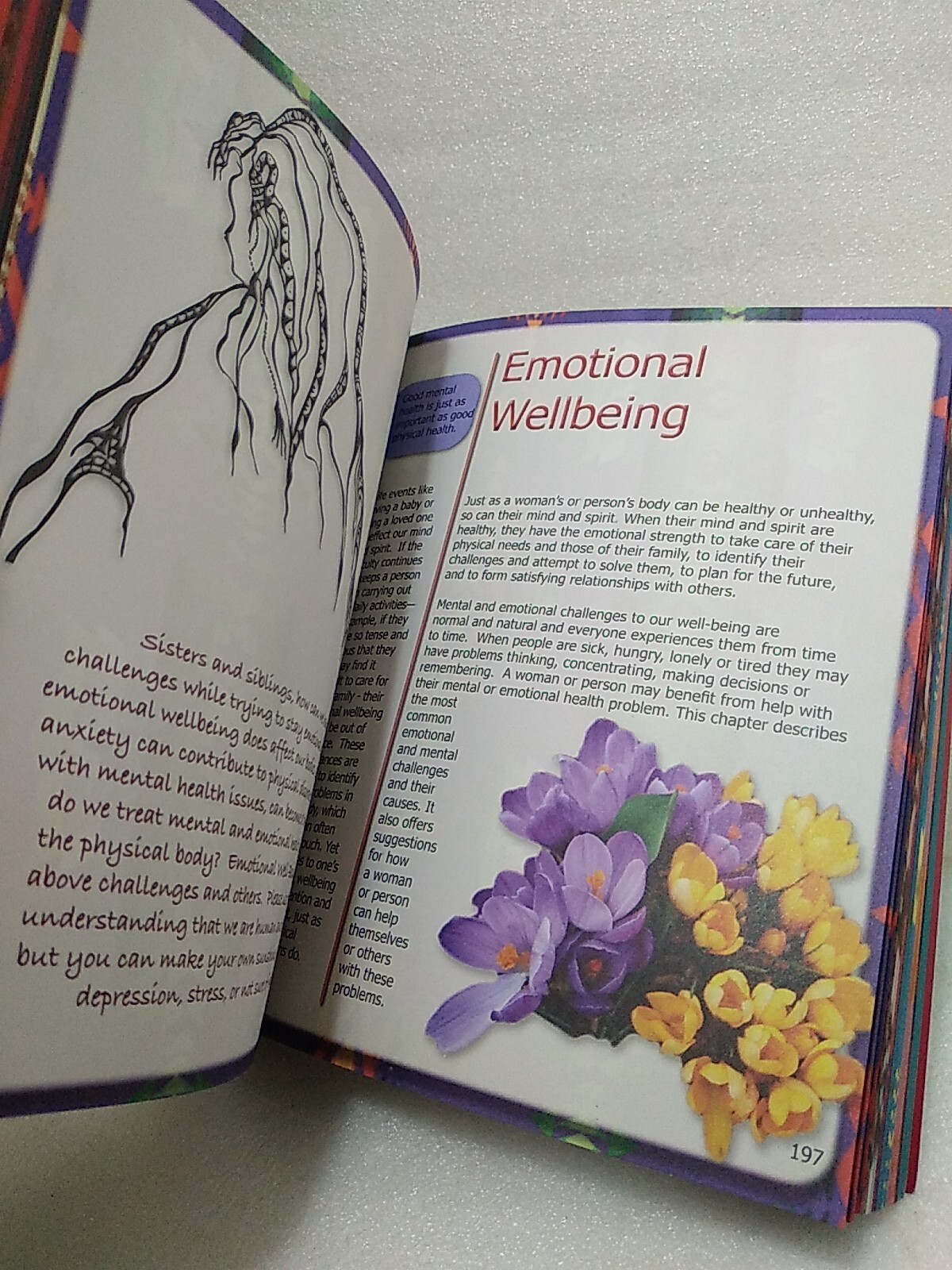 Journey Woman ~A Native Womans Guide To Wellness ~367 Page Book