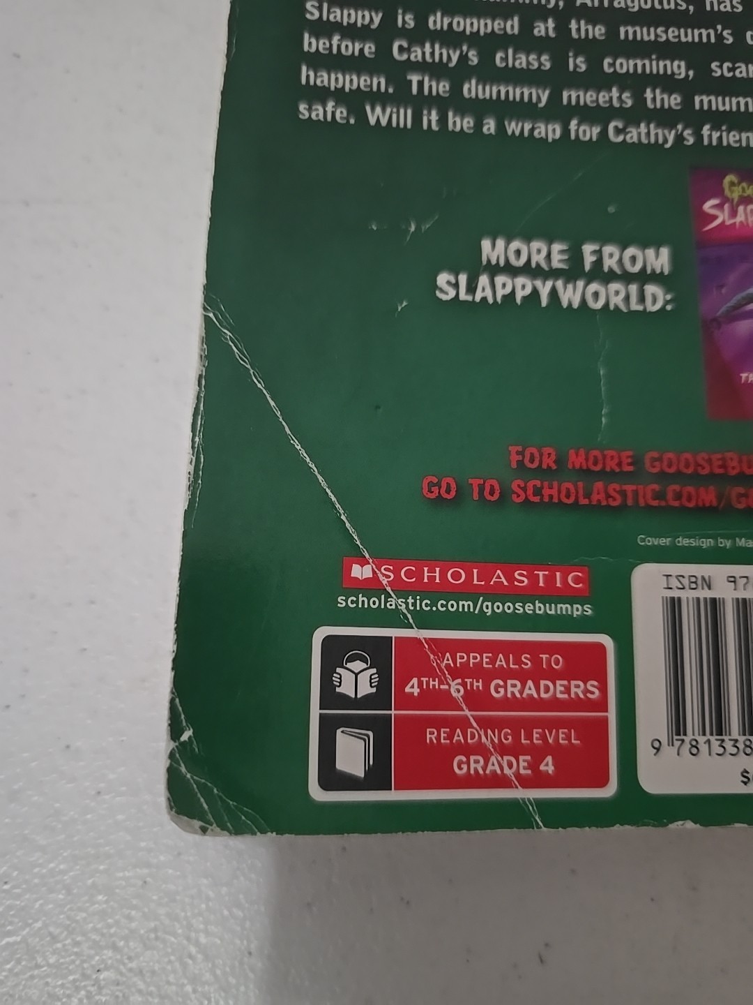 R.L. Stine Book Lot Of 24- Fear Street, Twisted, Rotten School, Goosebumps,