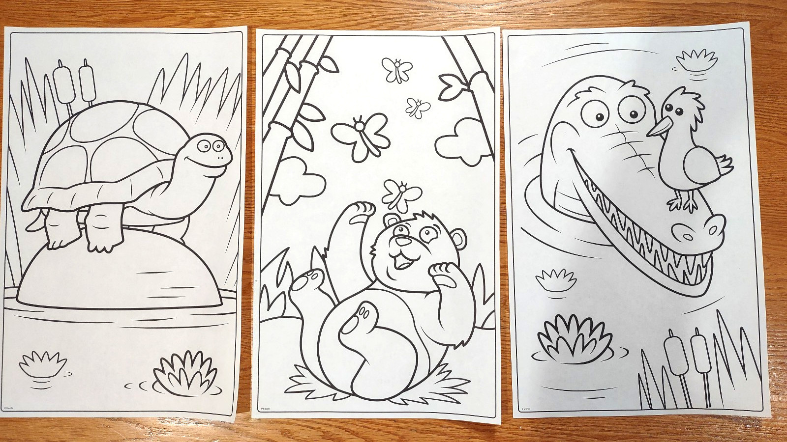 Crayola Giant 20 Coloring Pages Book Animals 10.5 in W X 17 in Long – 18 Pages