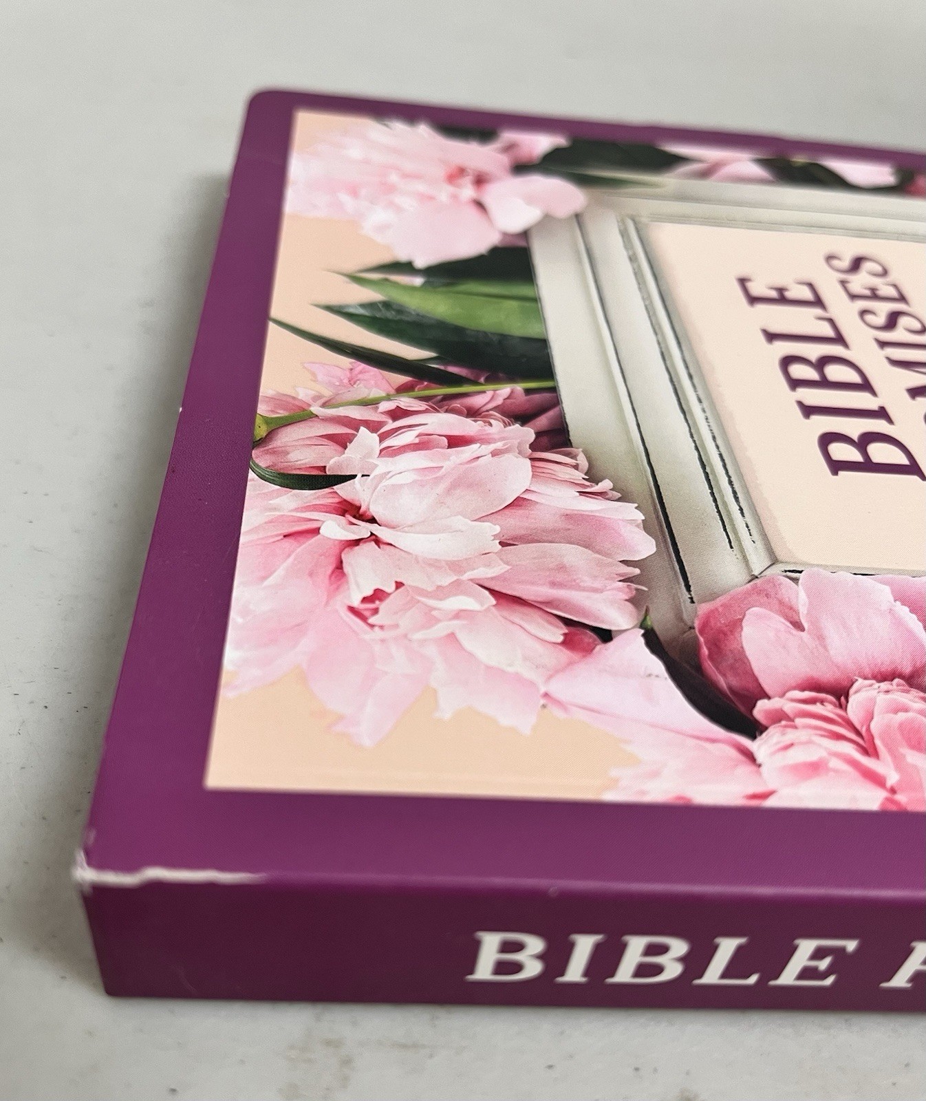 Bible Promises For Women Spiritual Devotions for Everyday Life 80 Pages