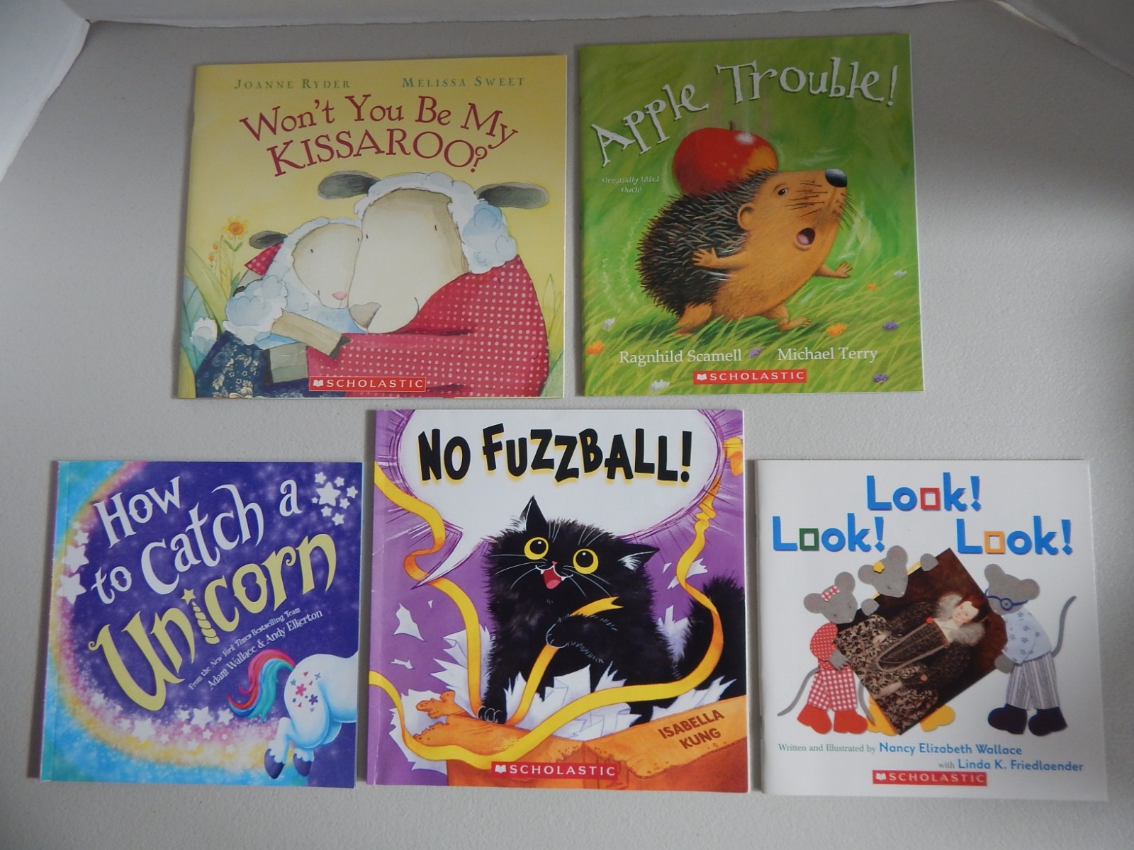 Lot 25 Picture Books & Readers AR 1-2 Children’s Accelerated Reading 1.2 to 2.9