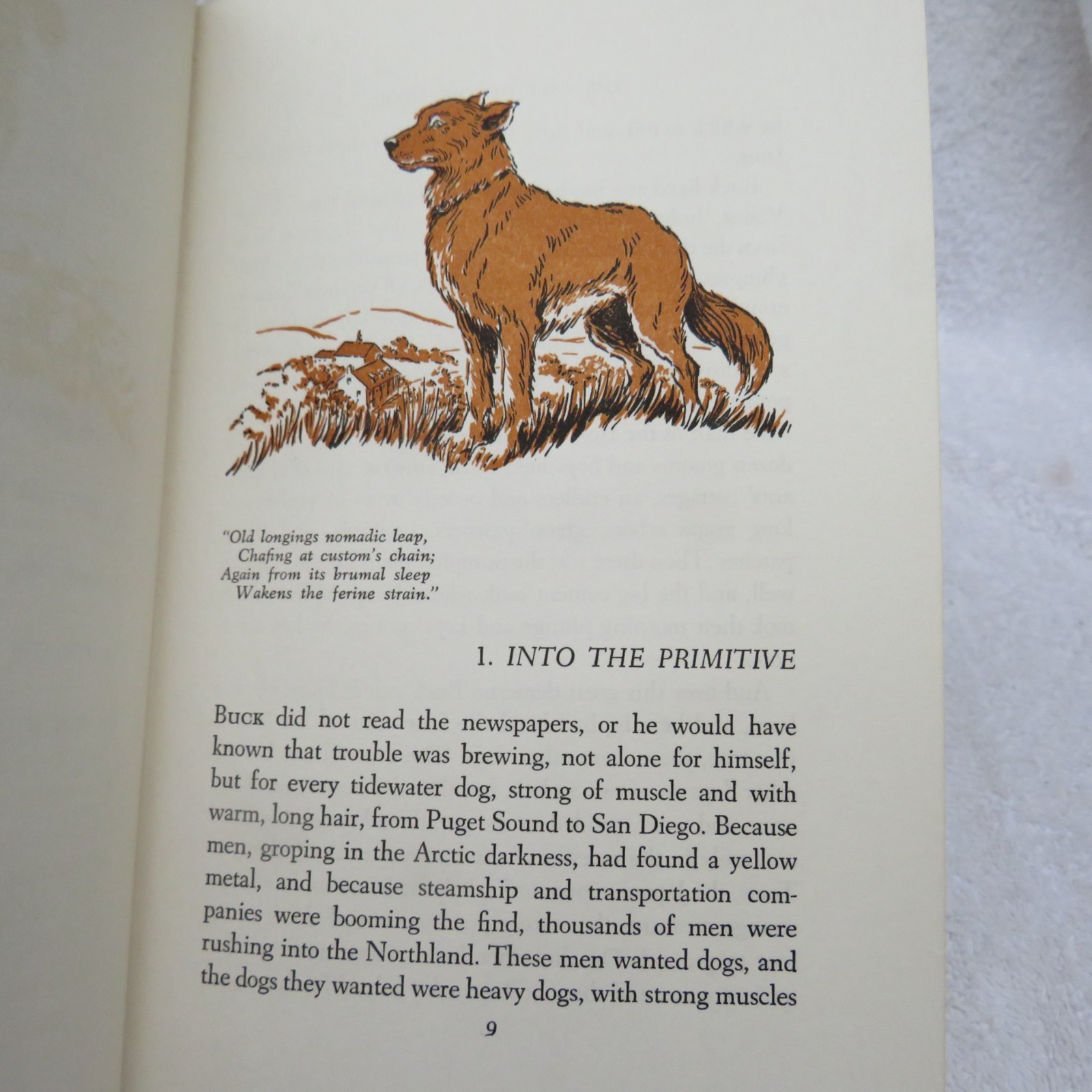 The Call Of The Wild ~ Jack London~ HC~ MacMillan Company 1963- Illustrated Todd