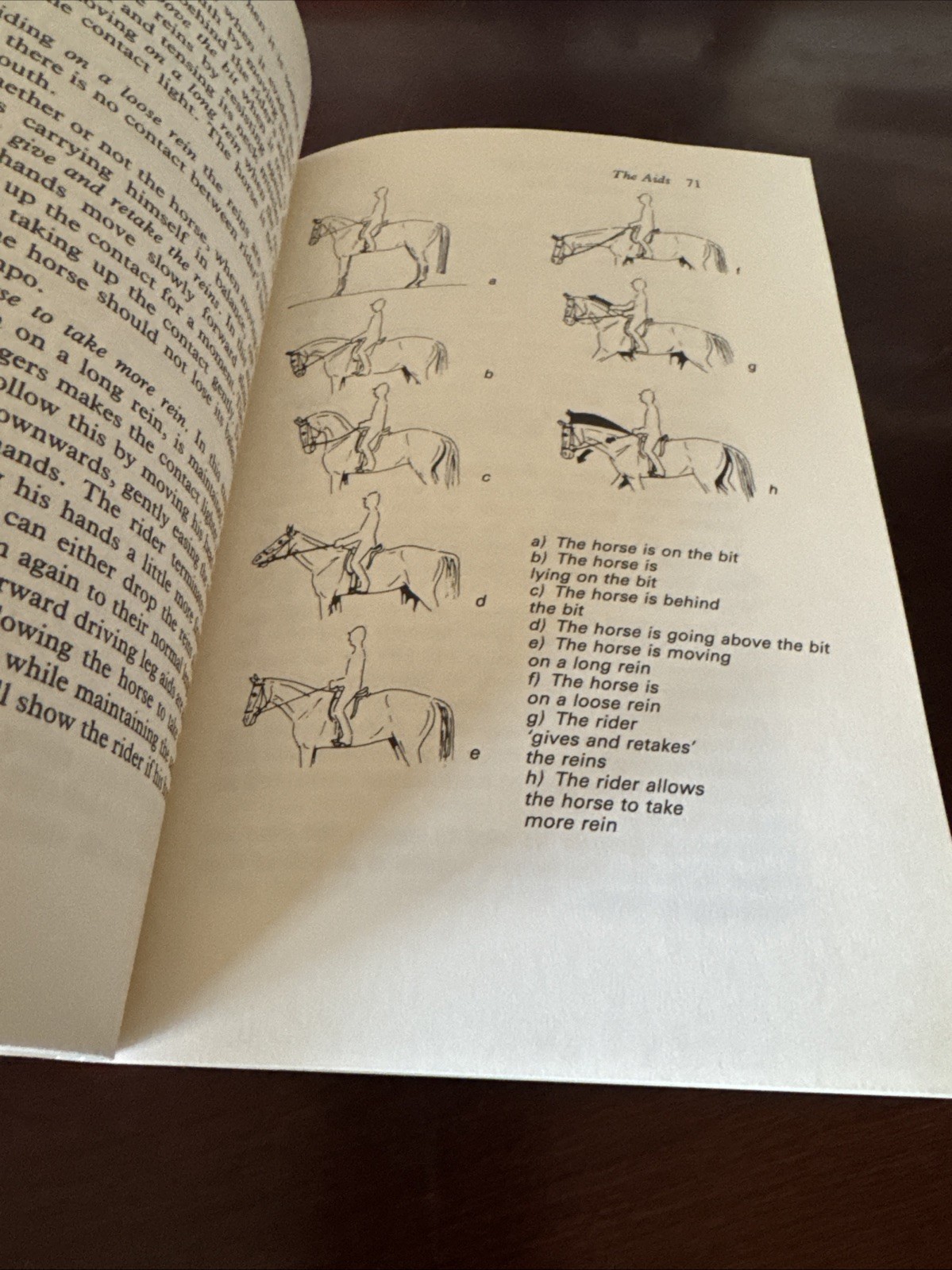 Rare 1992 The Principles Of Riding German National Equestrian Federation Book 1