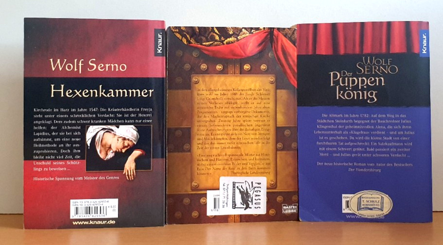BUCHPAKET+6 BÜCHER+Historische Romane+HANJO LEHMANN+WOLF SERNO+TB+BUNDLE