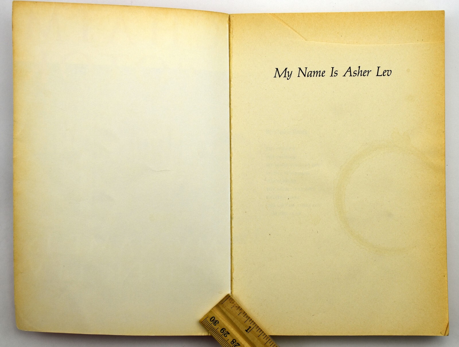 My Name Is Asher Lev – Paperback By Potok, Chaim 1996 – GOOD