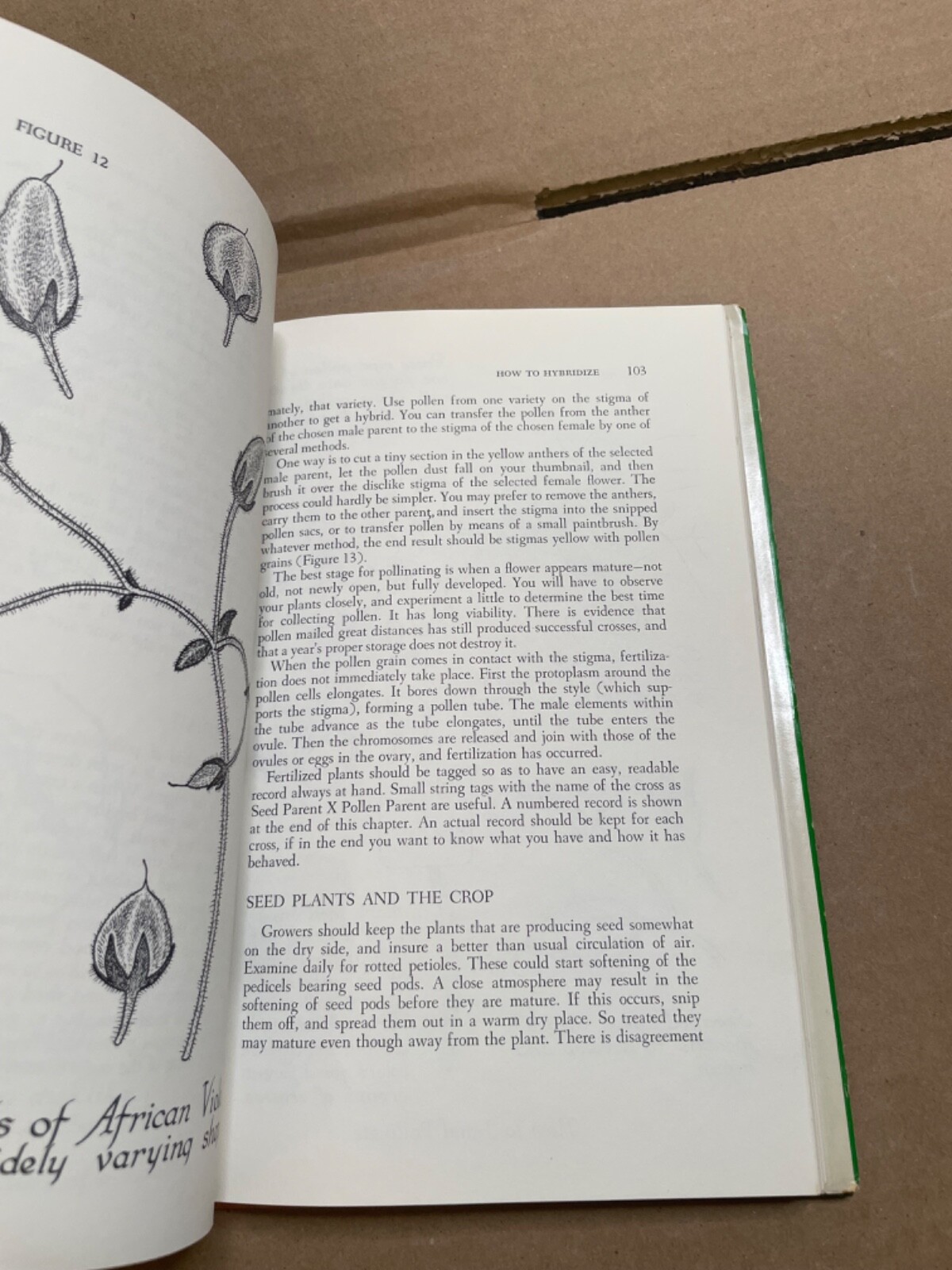 Helen Van Pelt Wilson’s African-Violet Book [HC/DJ) 1970