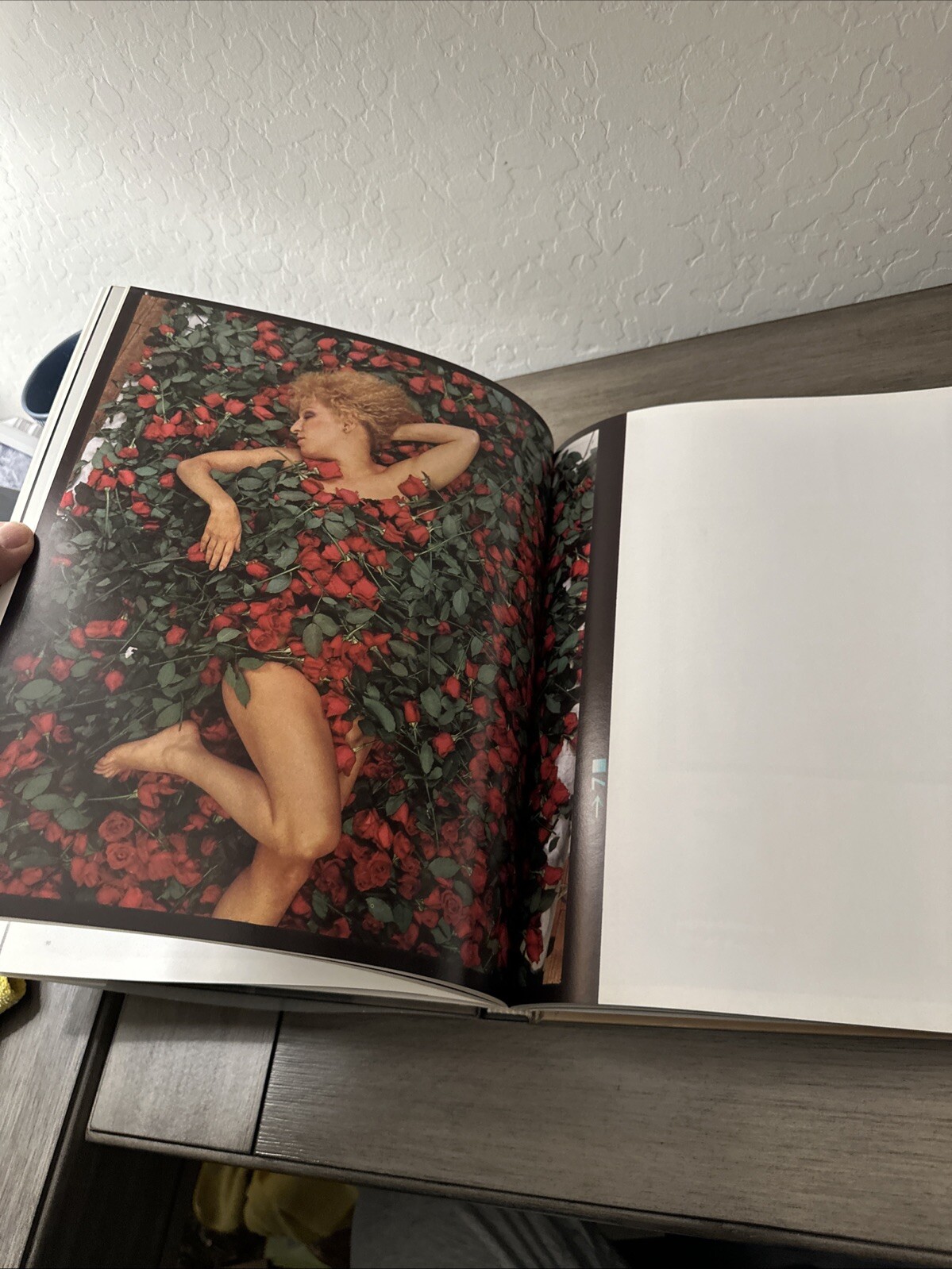 Photographs by Annie Leibovitz 1970-1990 Hardcover 1991 1st Edition Dust Jacket