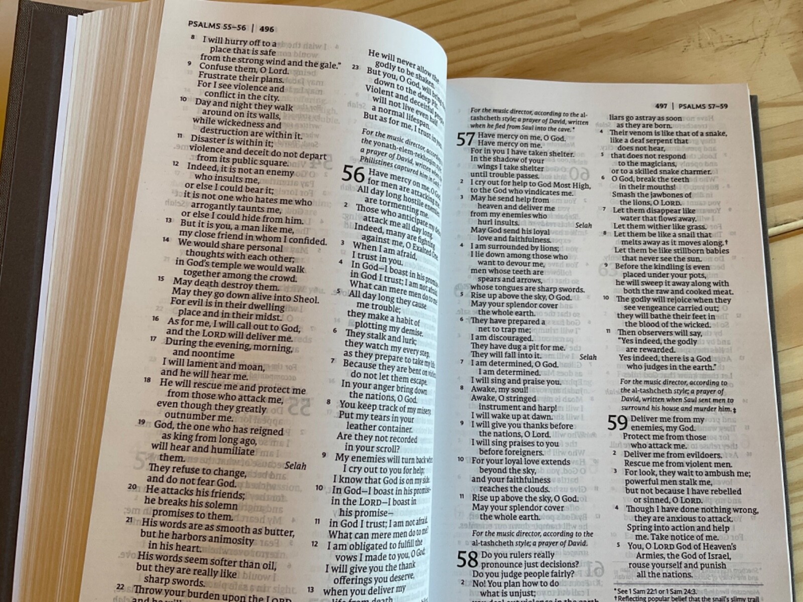 NET Thinline Bible 2019 Gray Hardcover