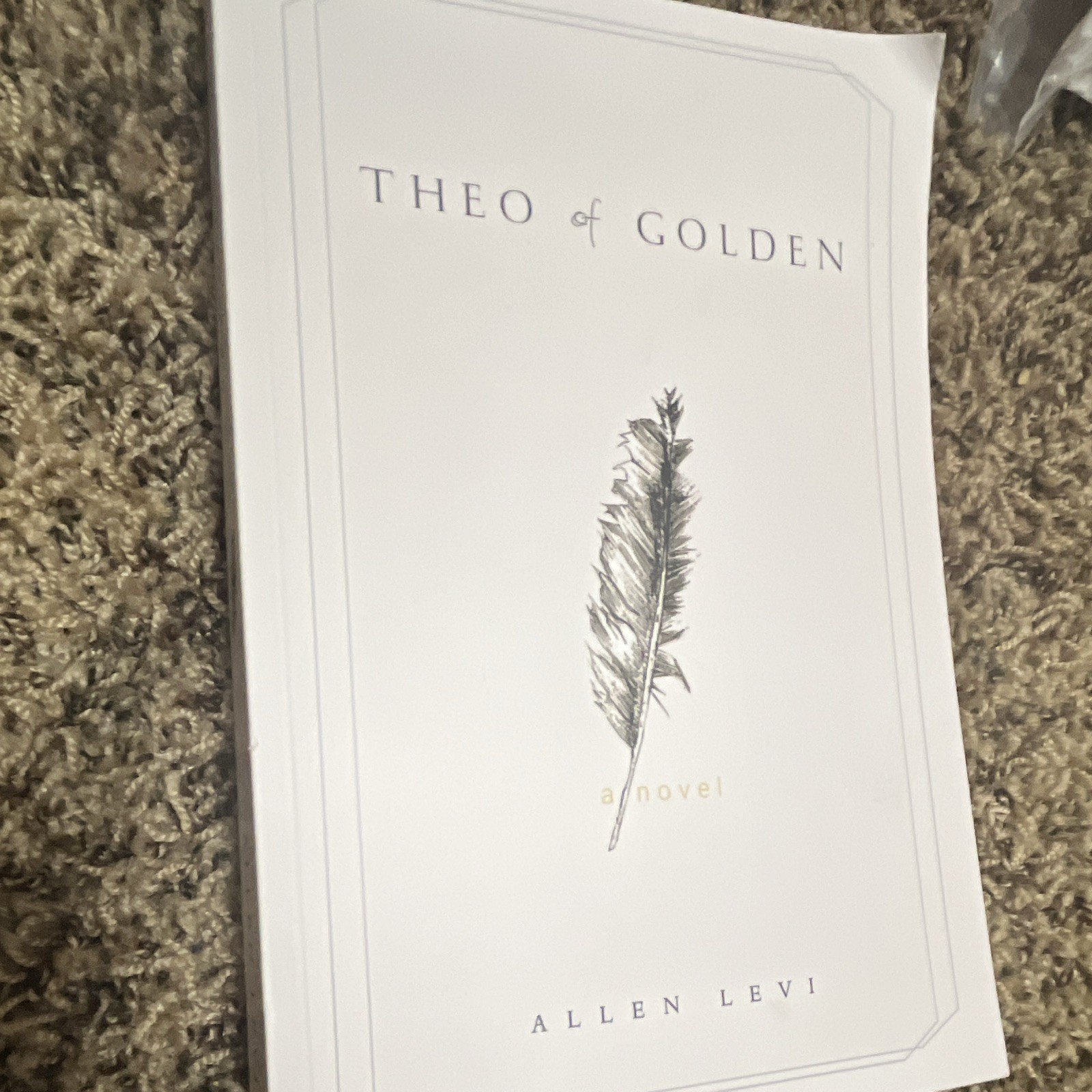 Theo of Golden Allen Levi Paperback Fiction Novel Kindness Creative Generosity