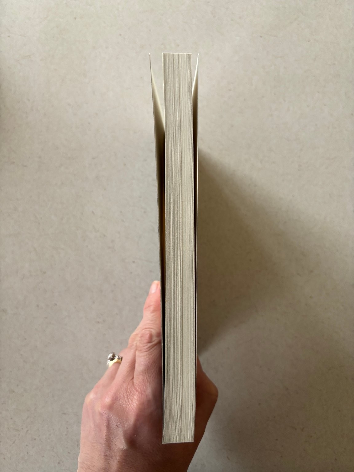 A Different Jesus? Robert L. Millet 2005 Paperback Comparative Theology Eerdmans