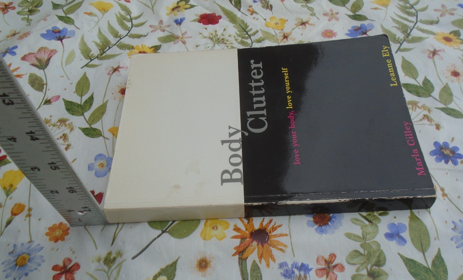Body Clutter By Marla Cilley and Leanne Ely SIGNED Paperback