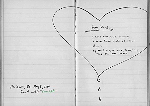Greenlights, McConaughey, Matthew, Acceptable Book