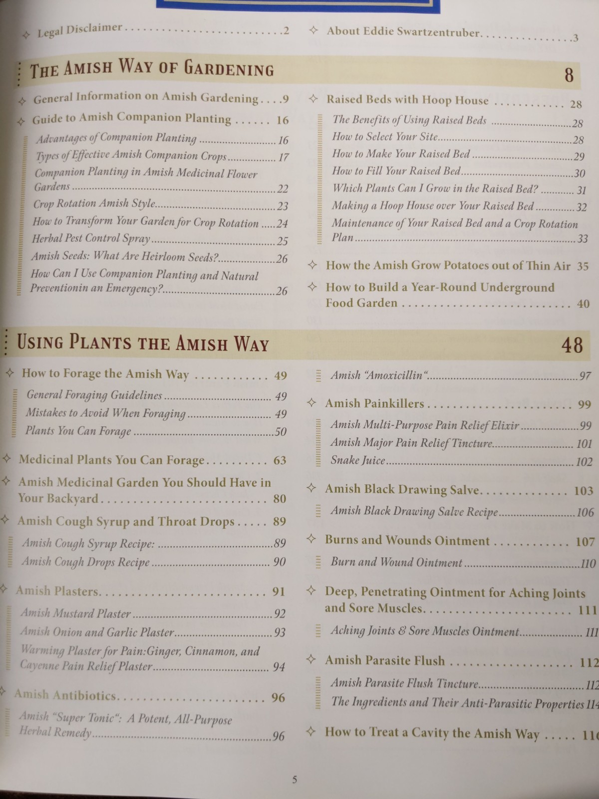 The Amish Ways (paperback with color pictures)