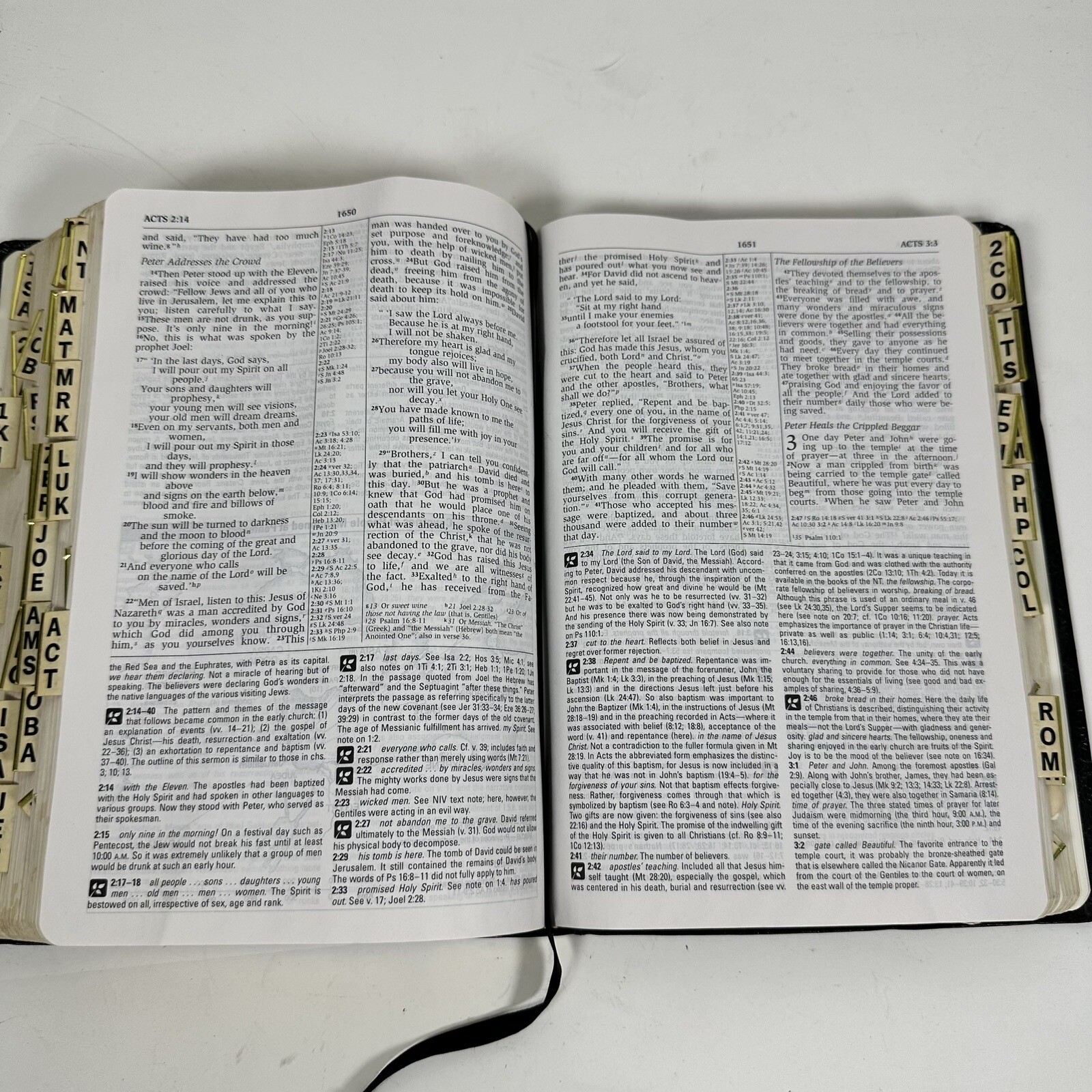 NIV Study BIBLE 1995 Black Bonded Leather 1984 10th Anniversary Zondervan