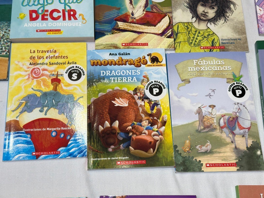 Scholastic 40 SPANISH Grade 4-6 Guided Reading Readers Books Level P, Q, R, S