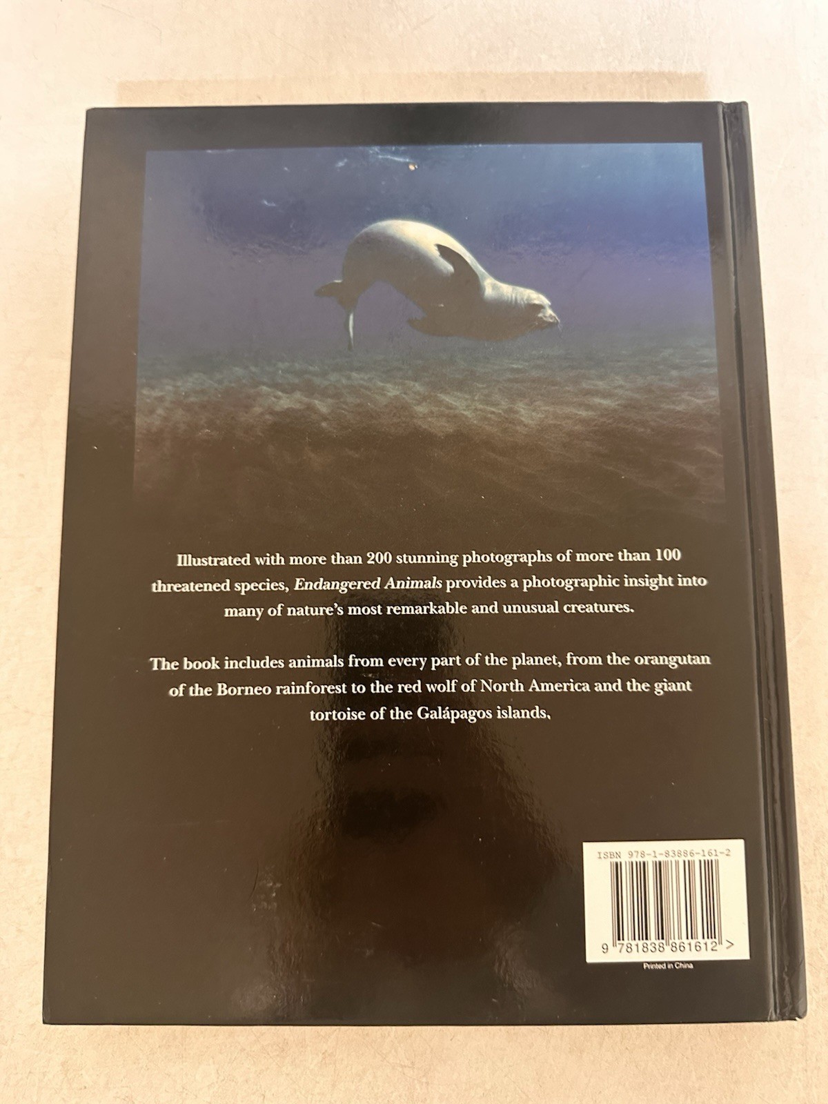 Endangered Animals by Jackson, Tom 2022 Amber Books Ltd